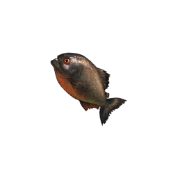 Piranha