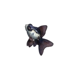 Telescope Goldfish