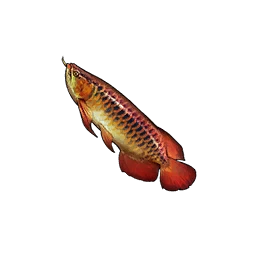 Arowana