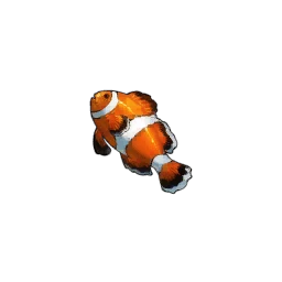 Clownfish