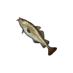 Cod