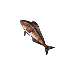Okhotsk Atka Mackerel