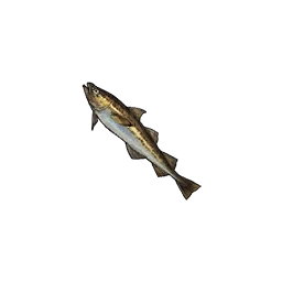 Alaska Pollock