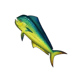 Mahi-Mahi