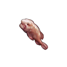Blobfish