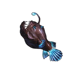 Football Fish