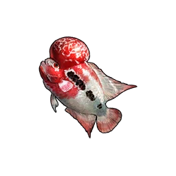 Flowerhorn