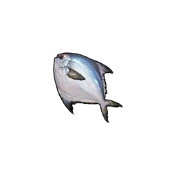 Pomfret