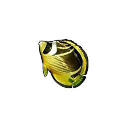 Butterflyfish