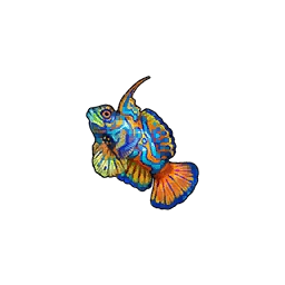 Mandarinfish