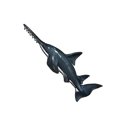 Saw Shark