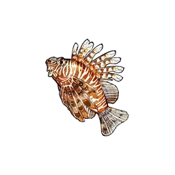 Lionfish