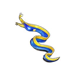 Ribbon Eel