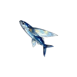 Flying Fish