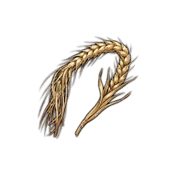 Spanking Wheat