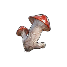 Virile Mushroom