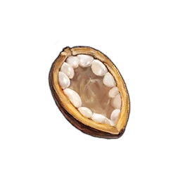 Venus Cacao