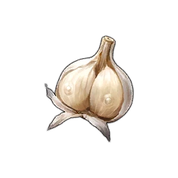 Cleft Garlic