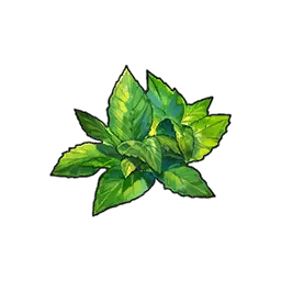 Peppermint Leaf