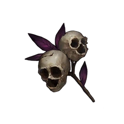 Strange Plant