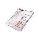 Medical Examination Report