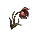Wilted Flower