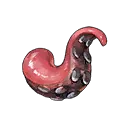 Octopus Leg