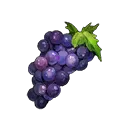 artifact_image